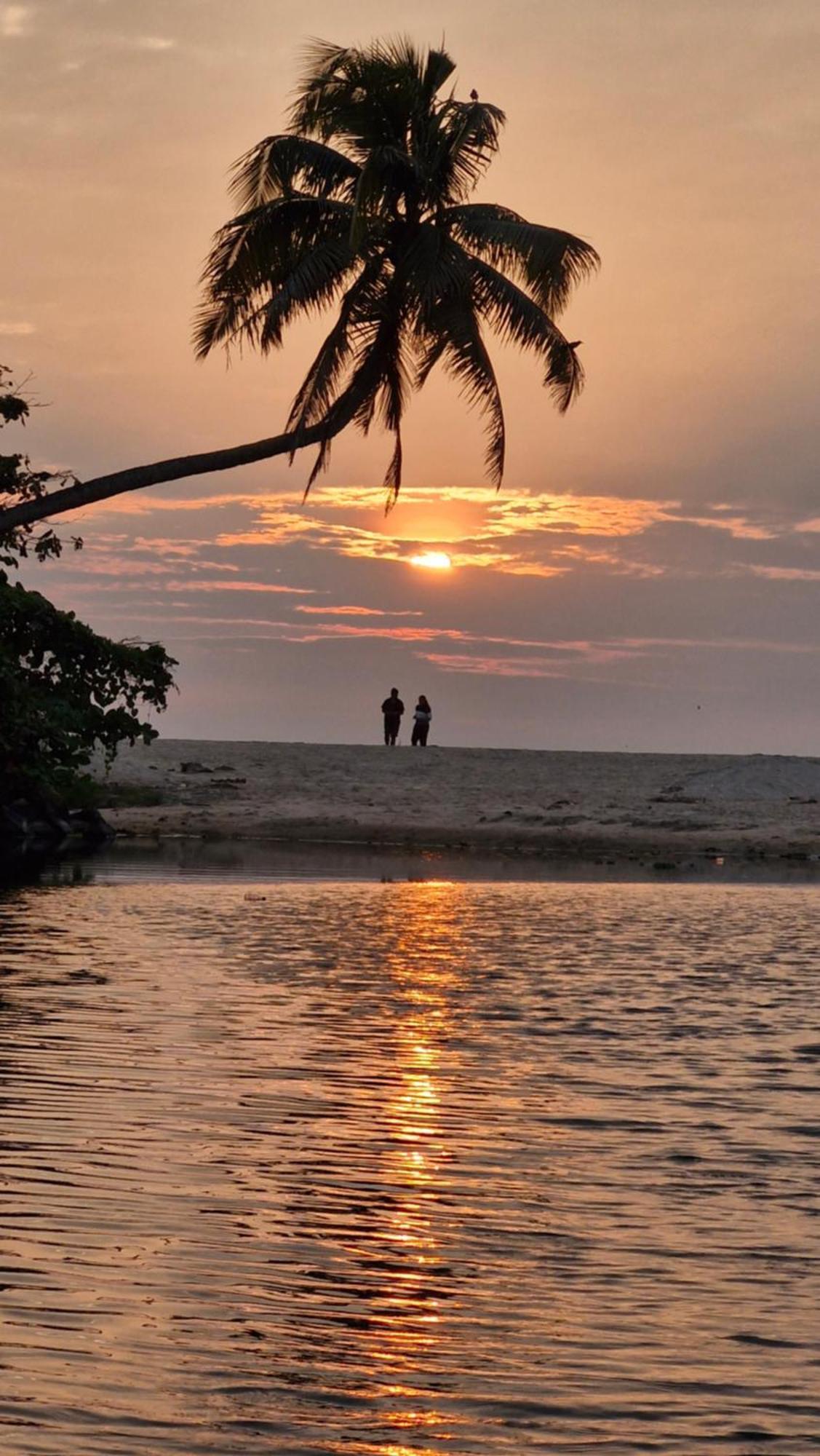 Gypsea Marari Bed & Breakfast Alappuzha Dış mekan fotoğraf